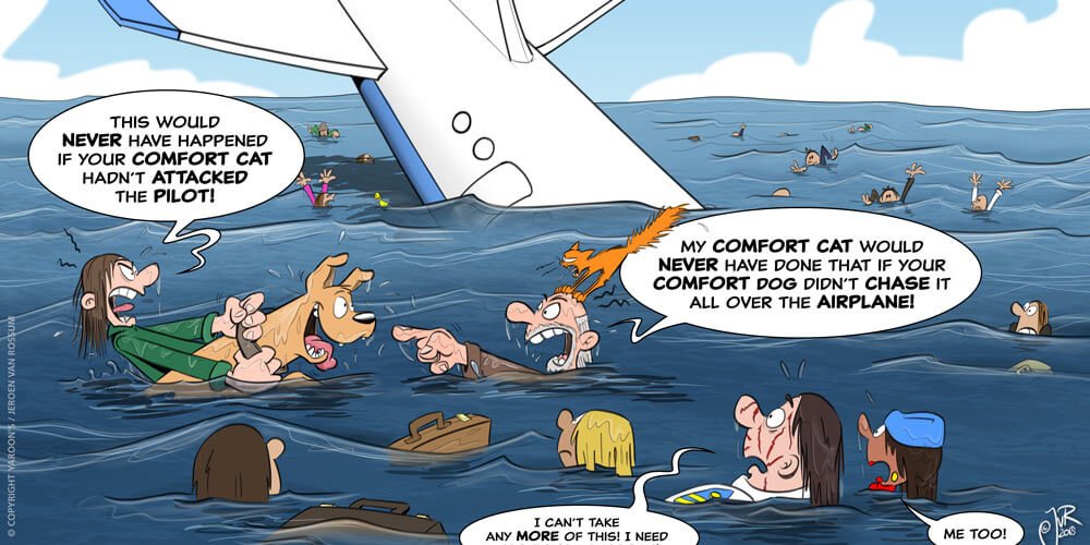 Cartoon - An aeroplane crashed because a comfort cat, chased by a comfort dog, attacked the pilot.