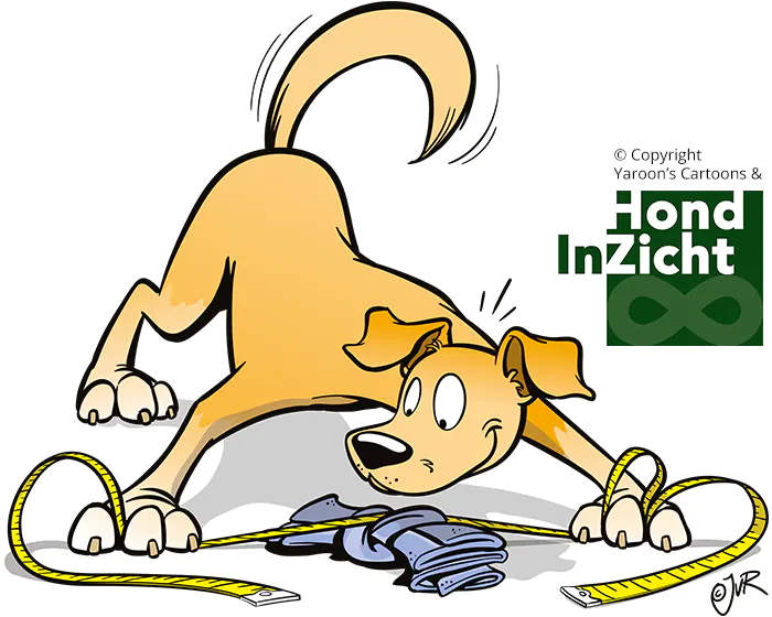 "De Precieze Prutser" illustratie uit het boek "Hersenwerk voor Honden" "De Precieze Prutser" illustratie uit het boek "Hersenwerk voor Honden"